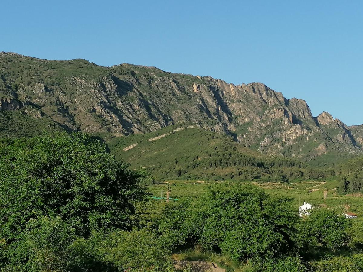 Villa Isabelle Barraca de Aguas Vivas Eksteriør billede